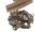 Zipper 5 mm spiral caramel gold