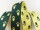 Paw webbing double-sided 25 mm green-yellow
