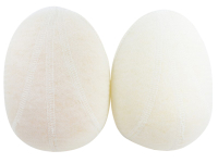 Shoulder pads 15 x12 cm / white