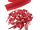 Zipper 3 mm Spirale Modell-kurz tief-rot