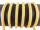 Round cord 100% cotton - 8 mm rapeseed yellow