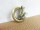 Ring - carabiner hook - model "Frango" 20 mm old brass / small