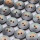 Buttons set of 36 TOP offer Ø 18 mm green-mother-of-pearl