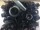 Eyelets with washers and tool 5 mm black / burnished